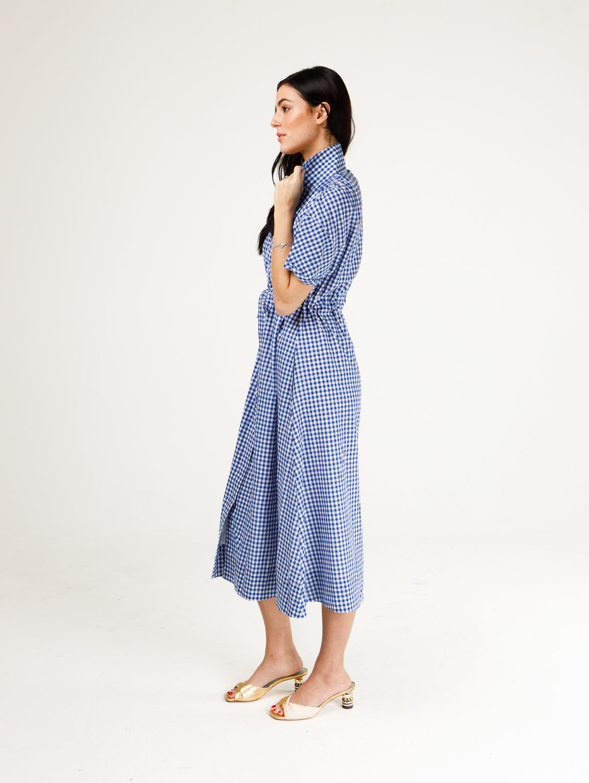 Bria Dress- Blue and White Gingham
