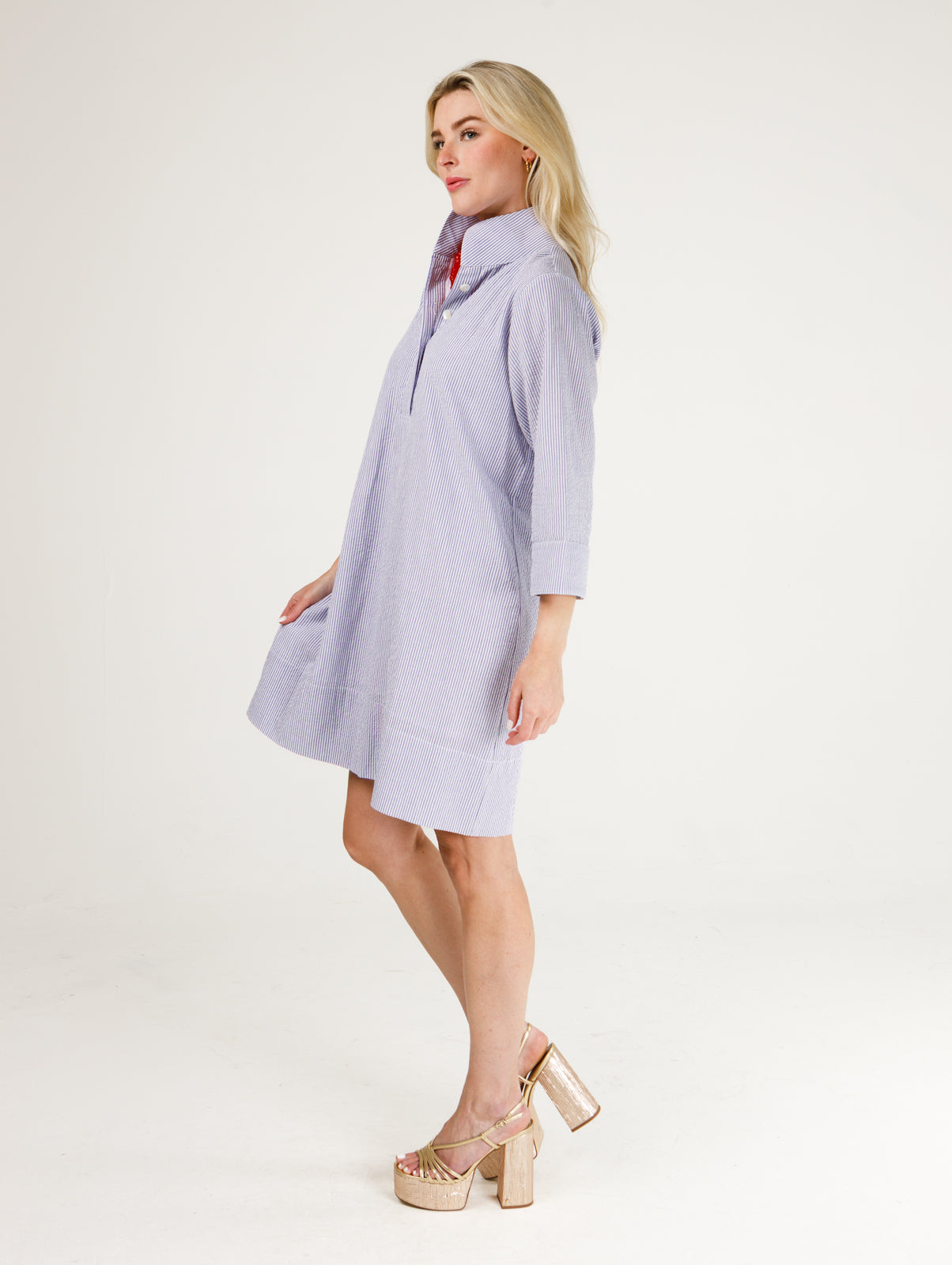 Arden Dress- Seersucker