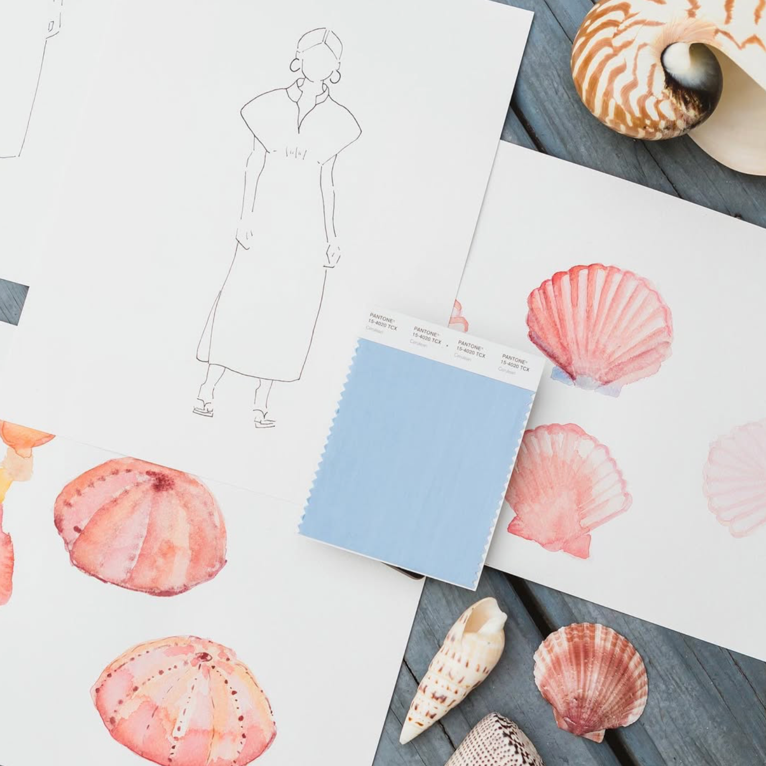 Seashell patterns on paper with a blue notepad and shells on a wooden surface